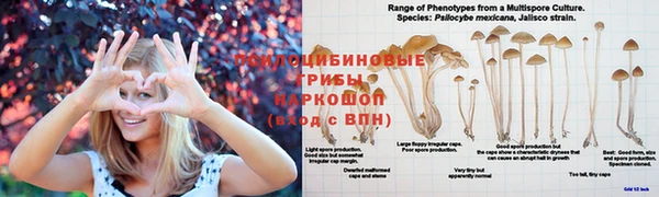 прущая мука Бугульма